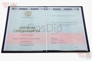 диплом о высшем образовании 2014-2025 годов - бланк